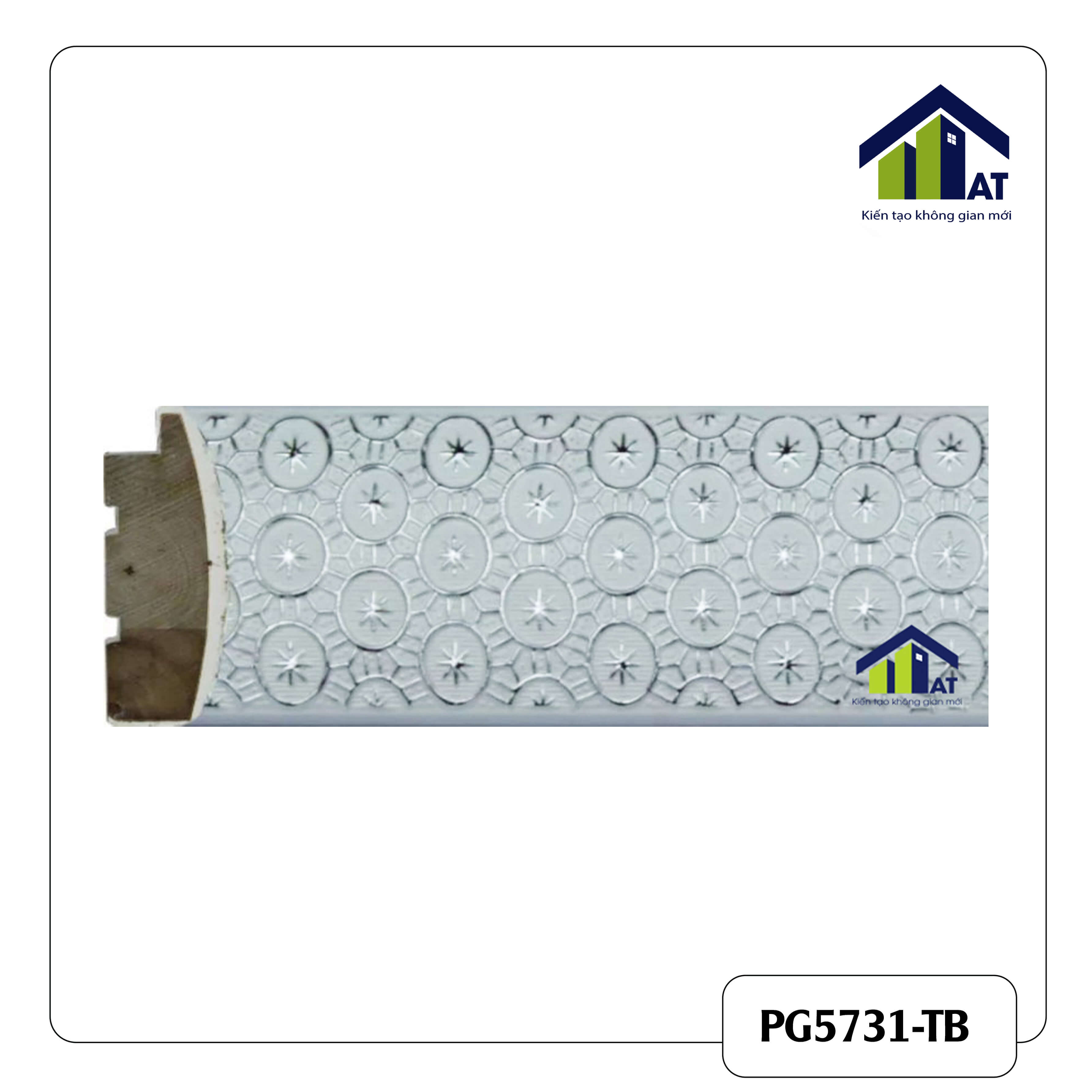 PG5731-TB