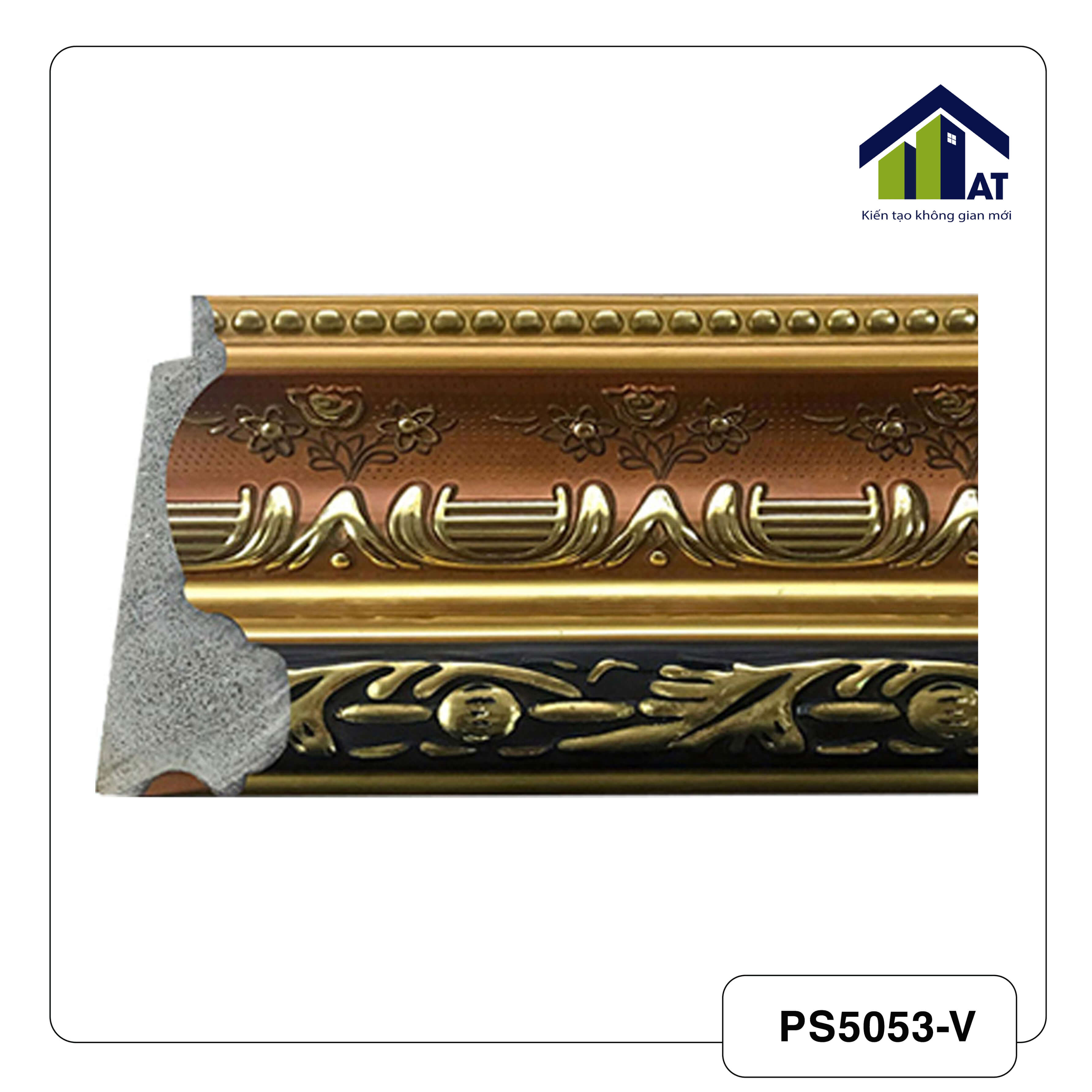 PS5053-V